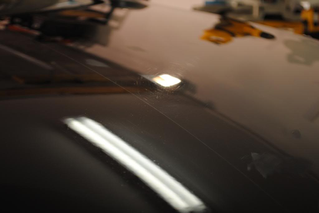 DSC_4602.jpg