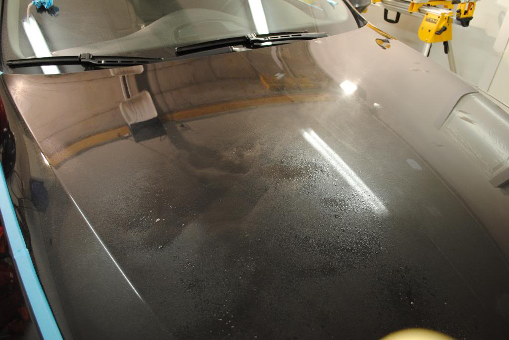 DSC_4607.jpg