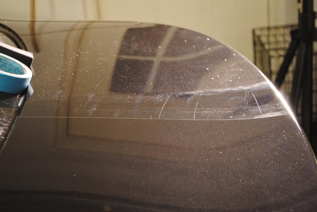 DSC_4726.jpg