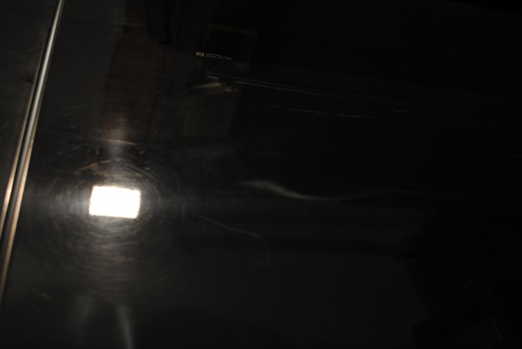 DSC_4932.jpg