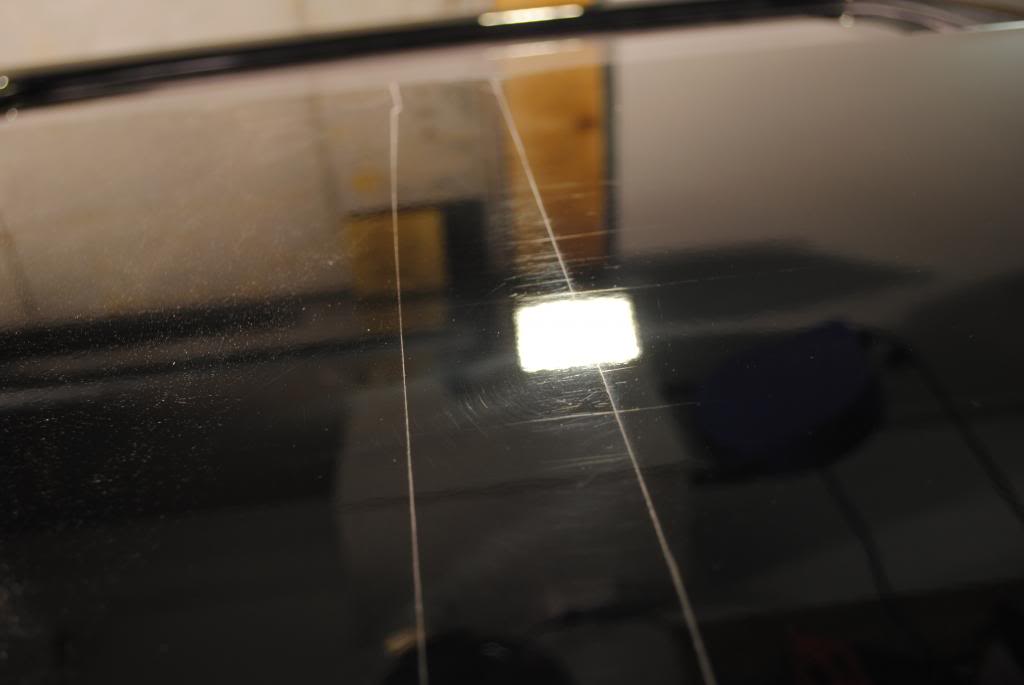 DSC_5036.jpg
