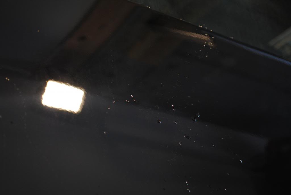 DSC_5079.jpg