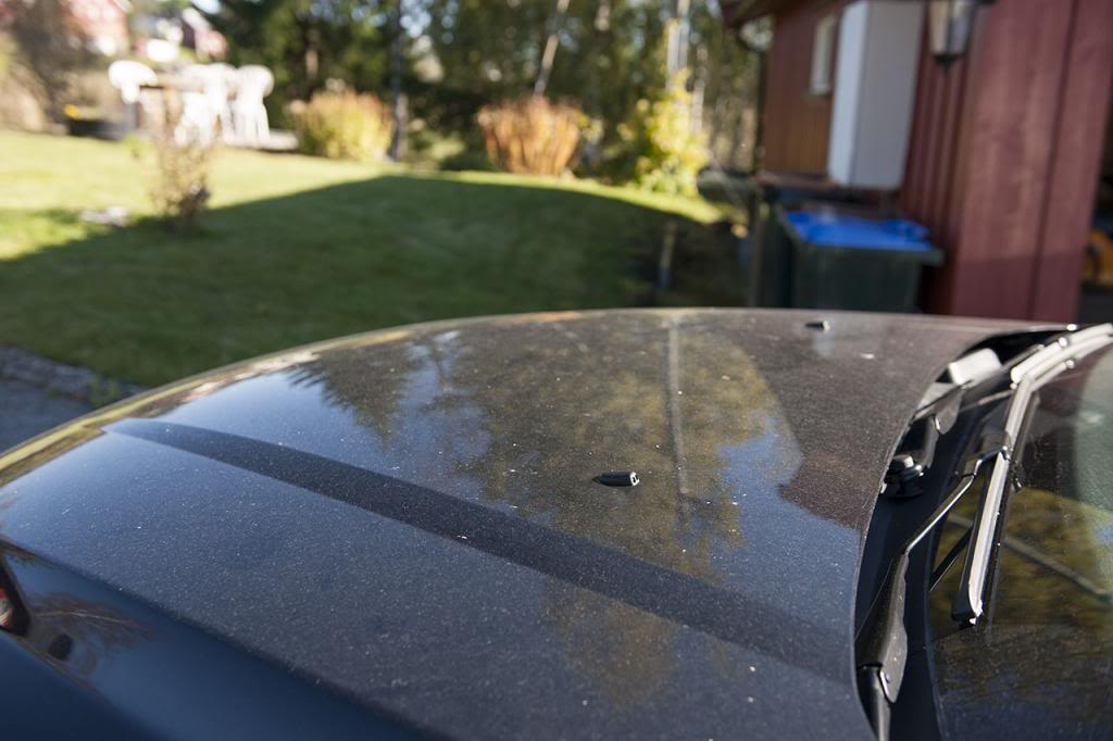 DSC_5255.jpg