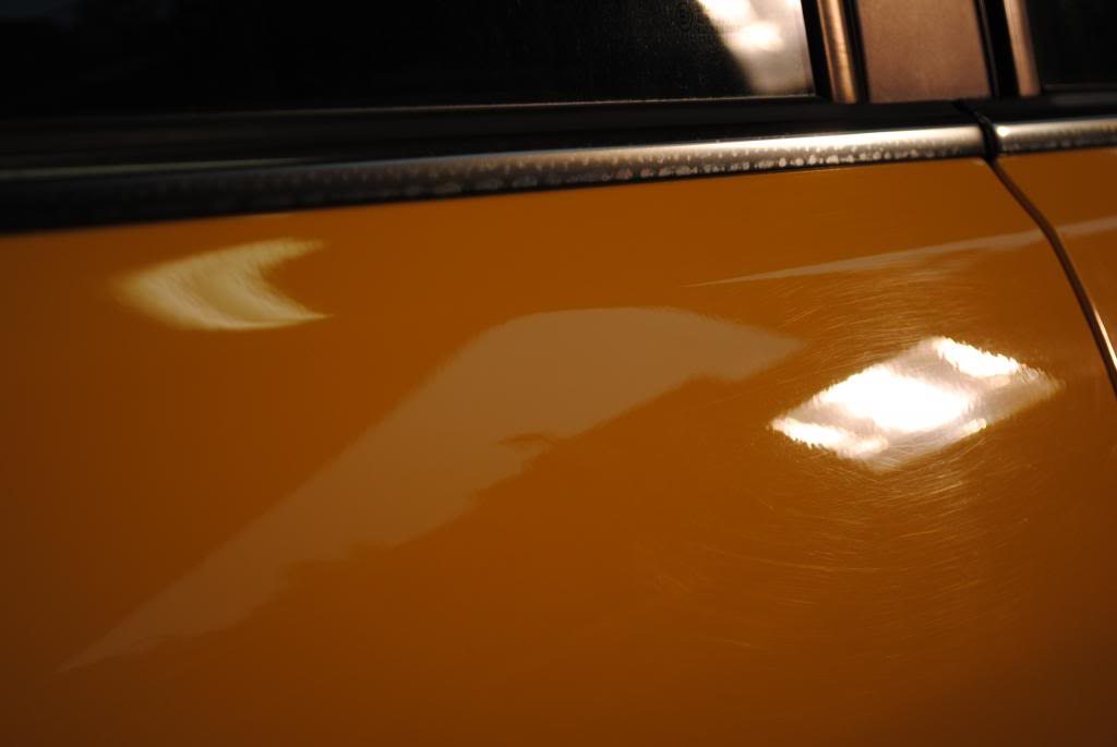 DSC_5415.jpg
