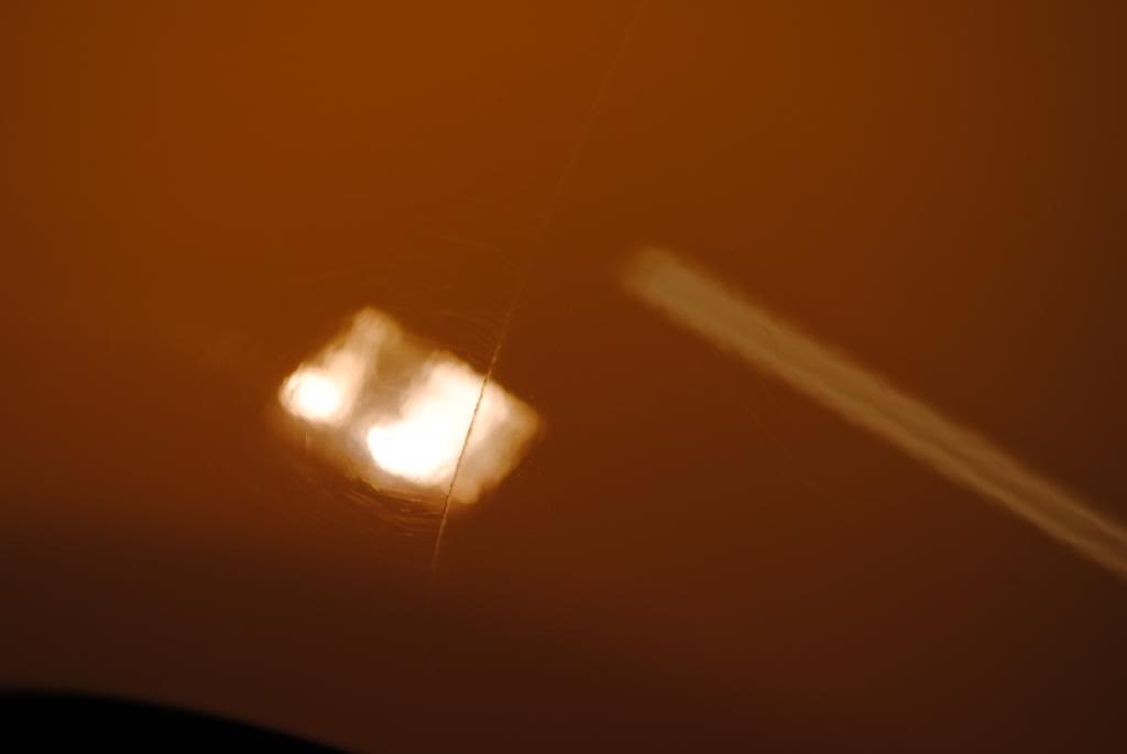 DSC_5456.jpg