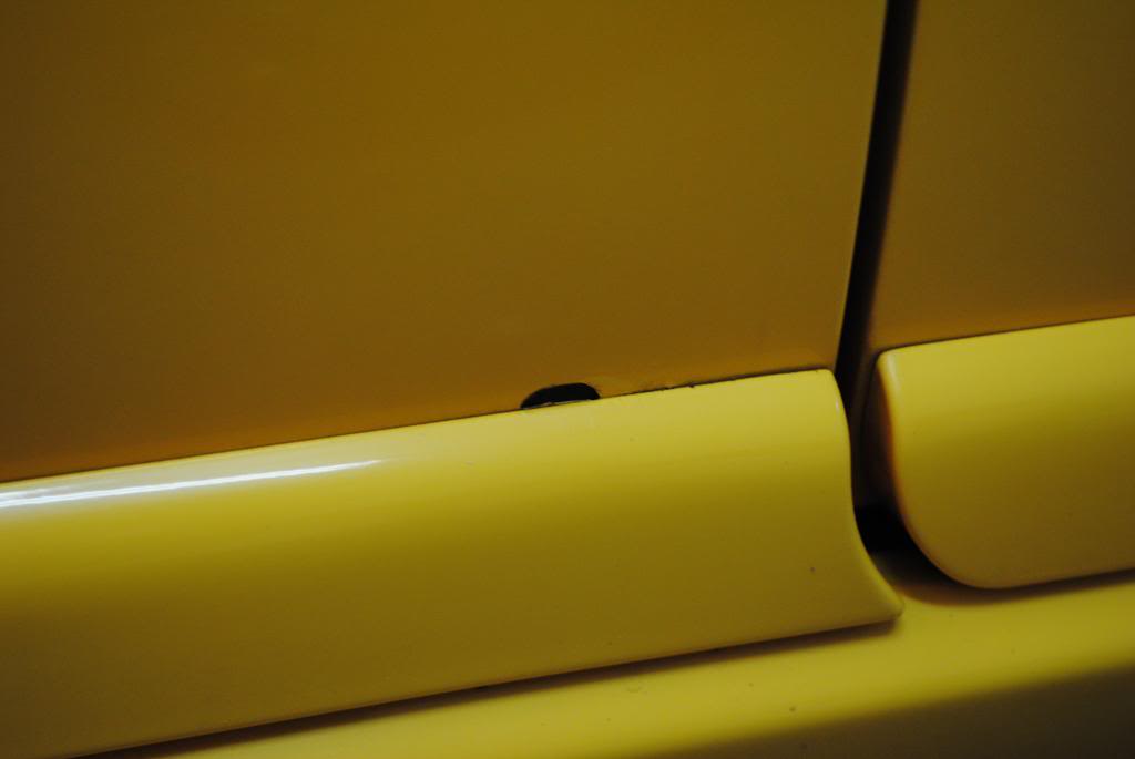 DSC_5503.jpg
