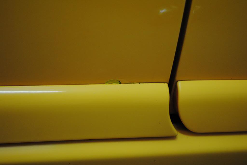 DSC_5505.jpg