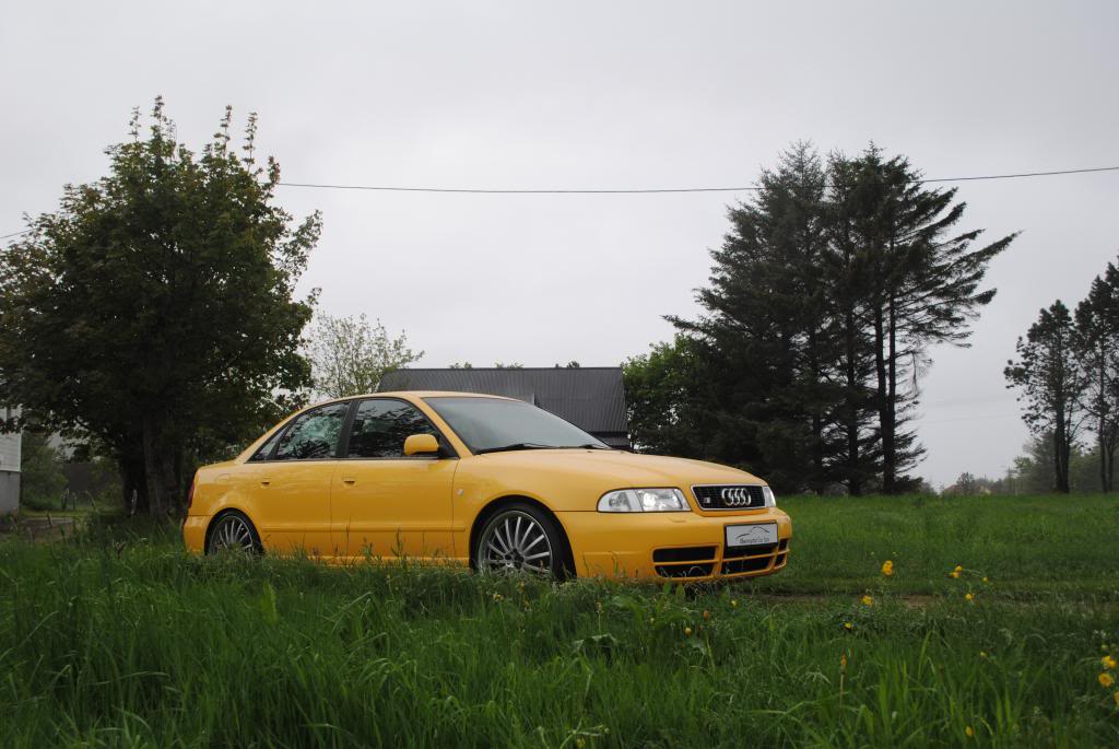 DSC_5600.jpg
