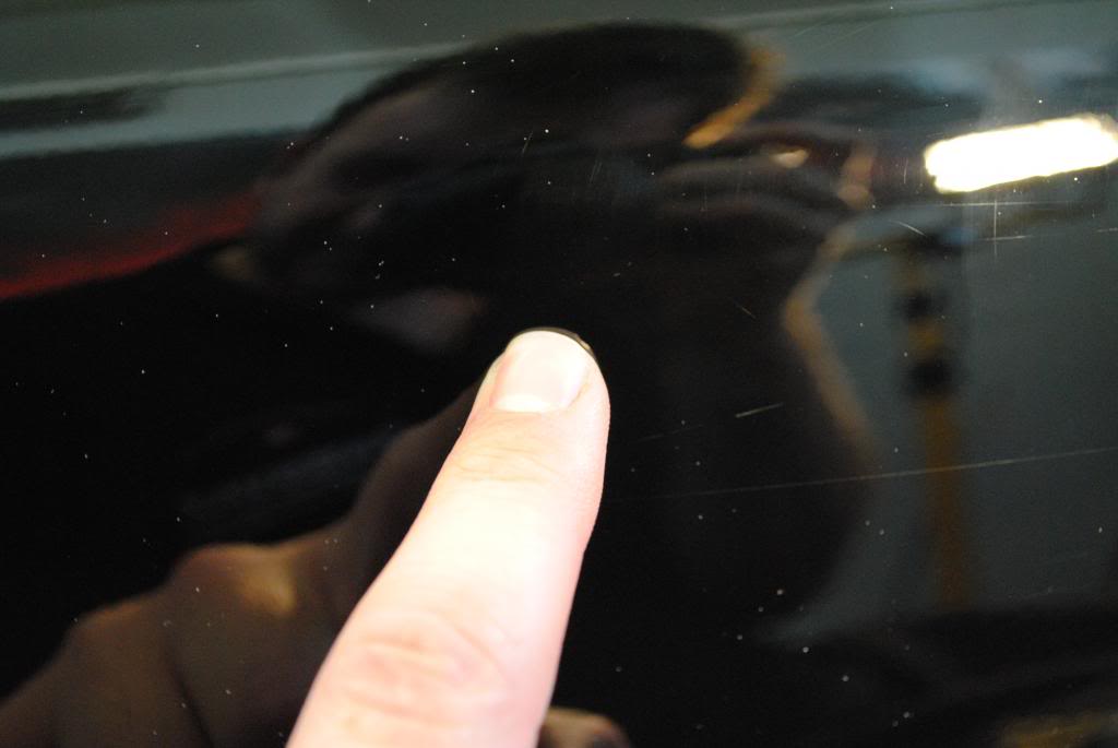 DSC_6524.jpg