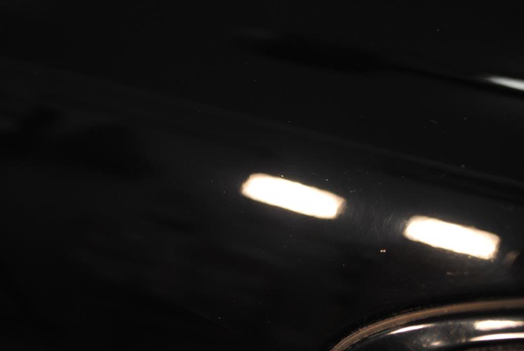 DSC_6572.jpg