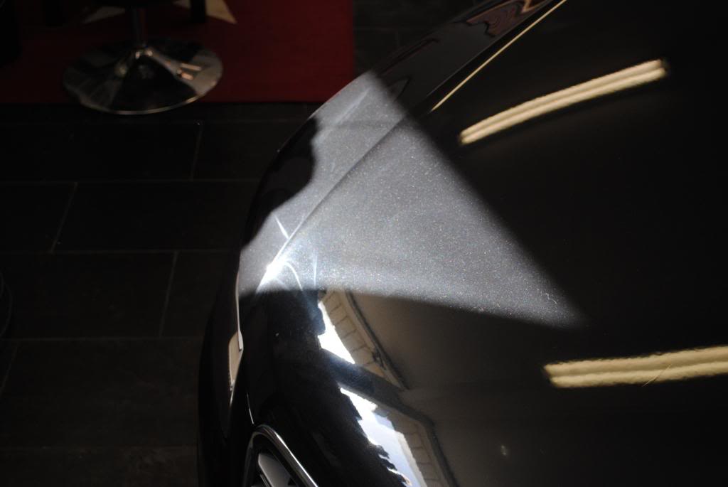 DSC_7726.jpg