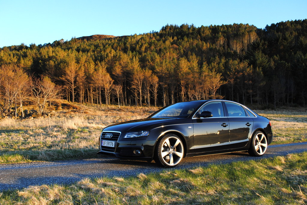 DSC_7817.jpg