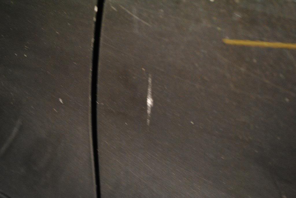 DSC_8313.jpg
