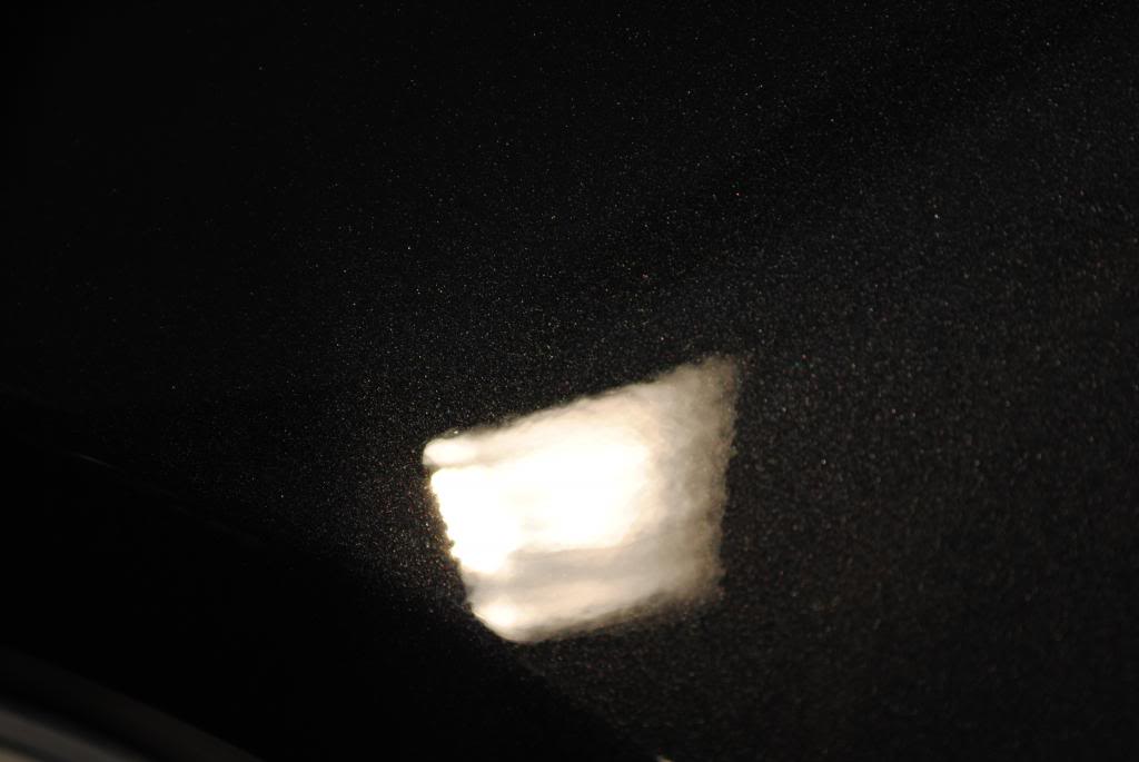 DSC_8365.jpg