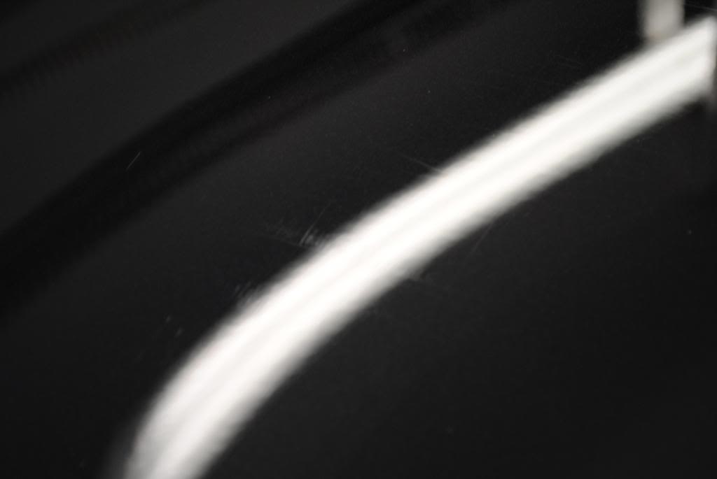 DSC_8401.jpg