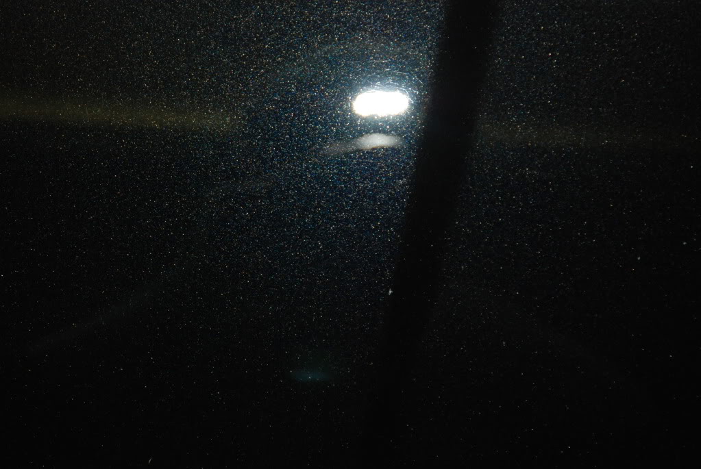DSC_9736.jpg