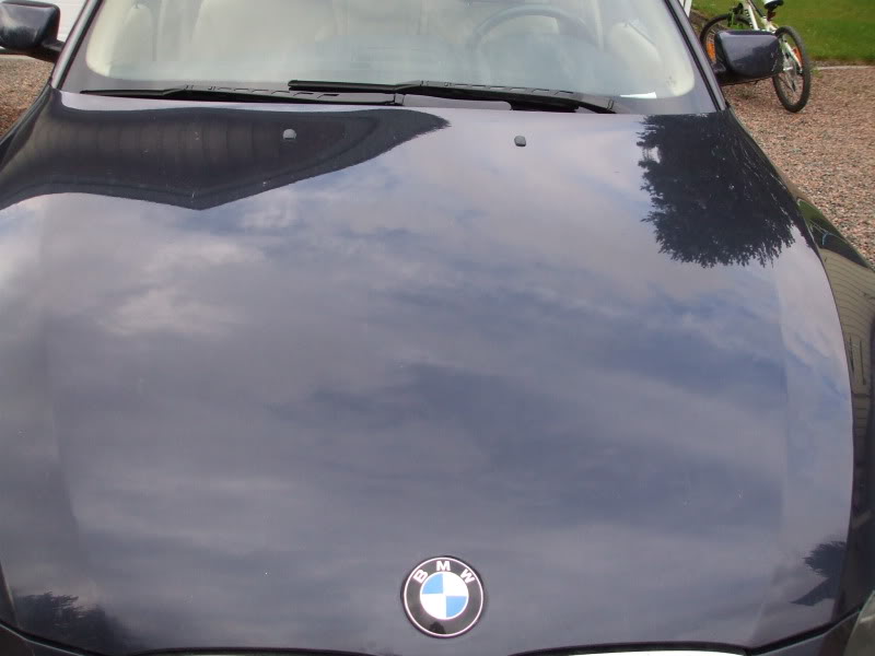DetailingBMWE60005.jpg