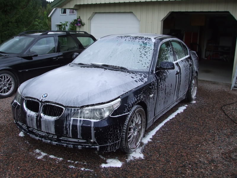 DetailingBMWE60026.jpg