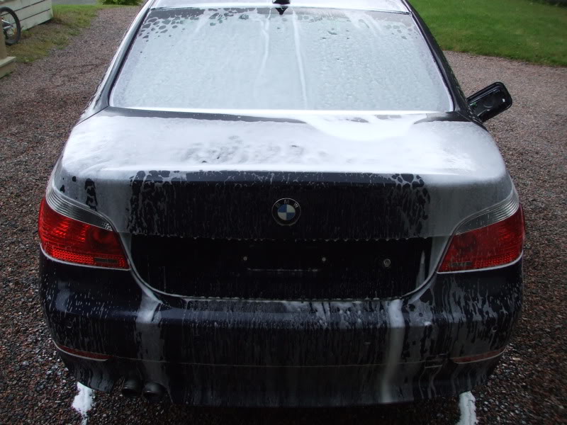 DetailingBMWE60028.jpg