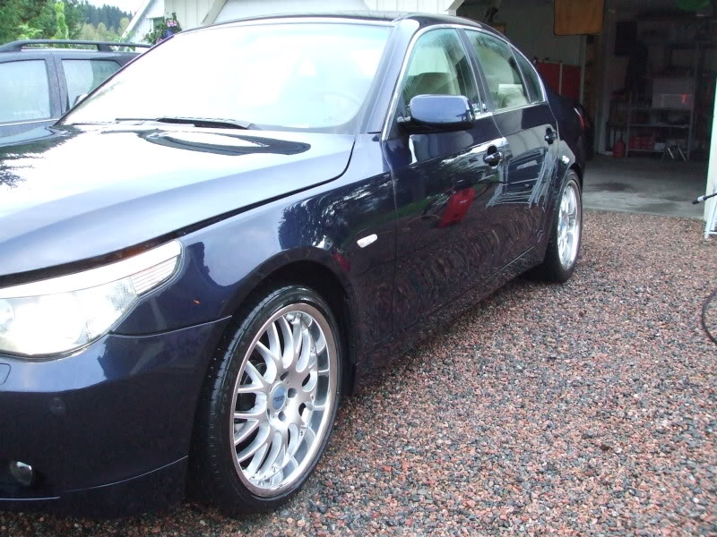 DetailingBMWE60035.jpg