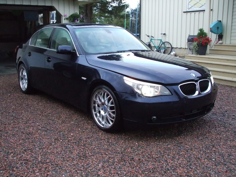 DetailingBMWE60036.jpg