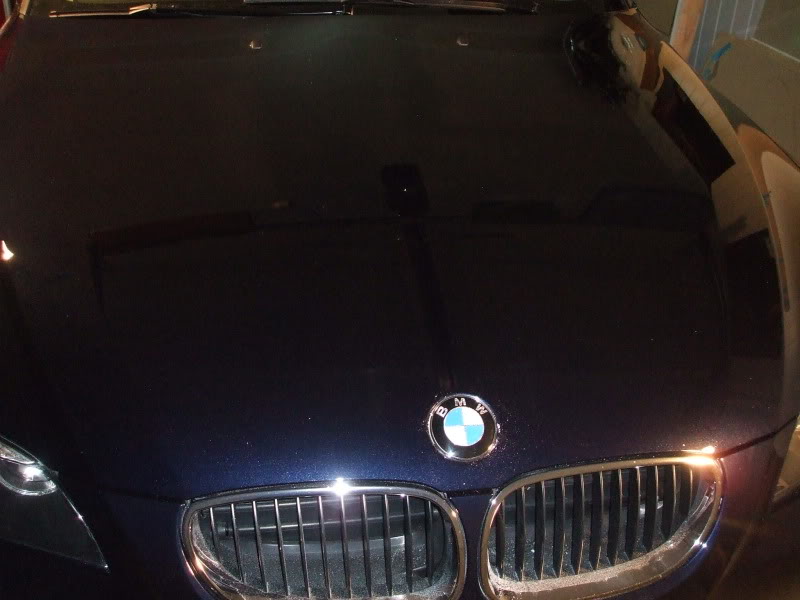 DetailingBMWE60109.jpg