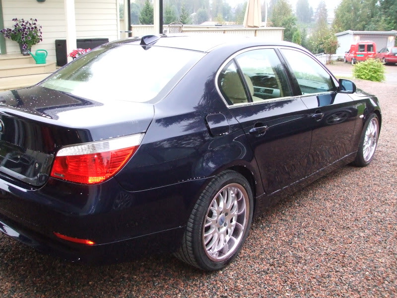 DetailingBMWE60115.jpg