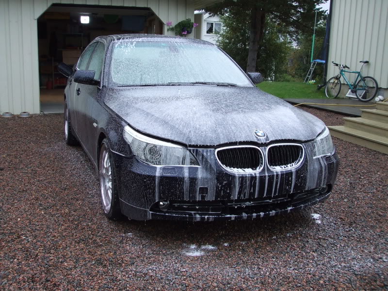 DetailingBMWE60116.jpg