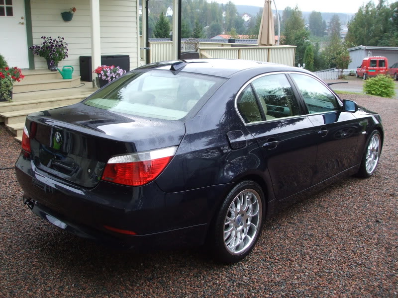 DetailingBMWE60119.jpg
