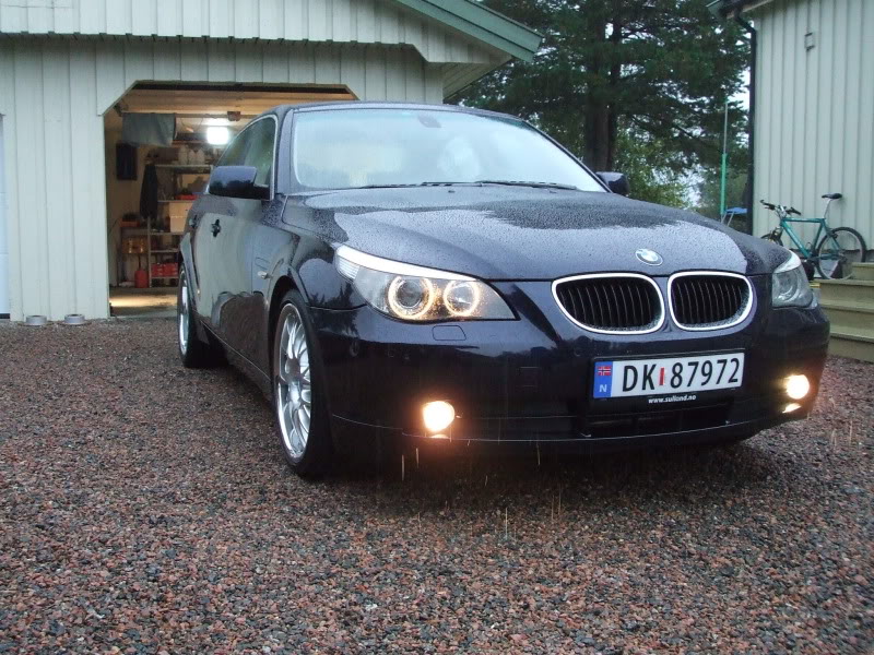 DetailingBMWE60128.jpg