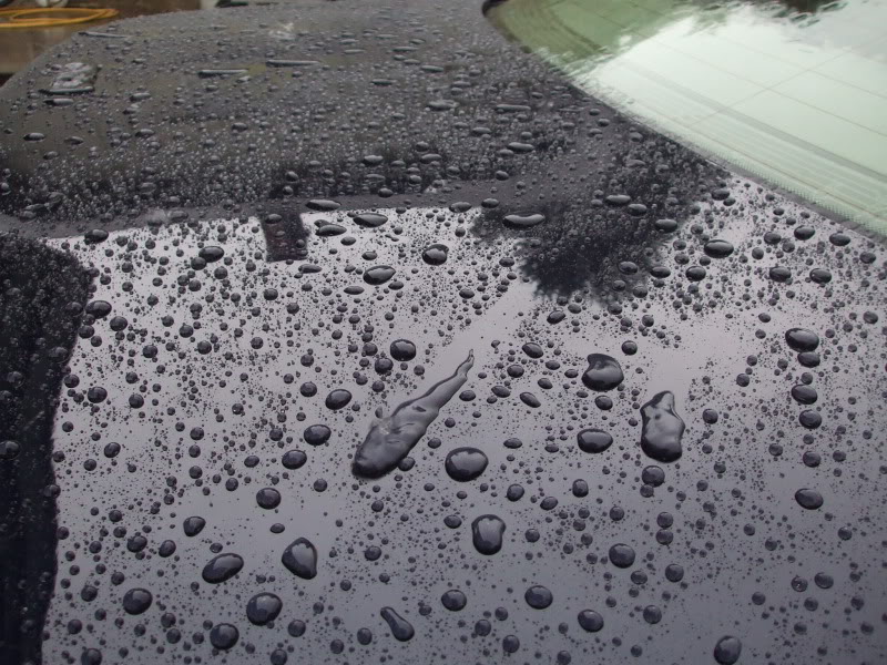 DetailingBMWE60135.jpg