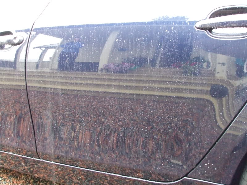 DetailingBMWE60136.jpg