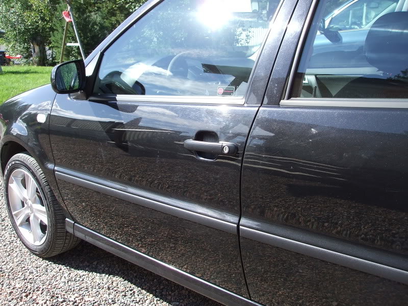 DetailingPolo067.jpg