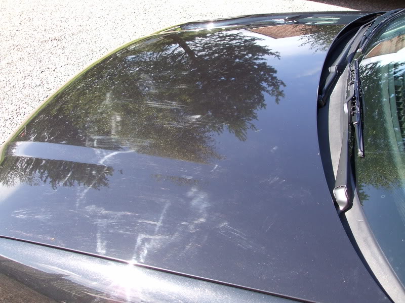 DetailingPolo068.jpg