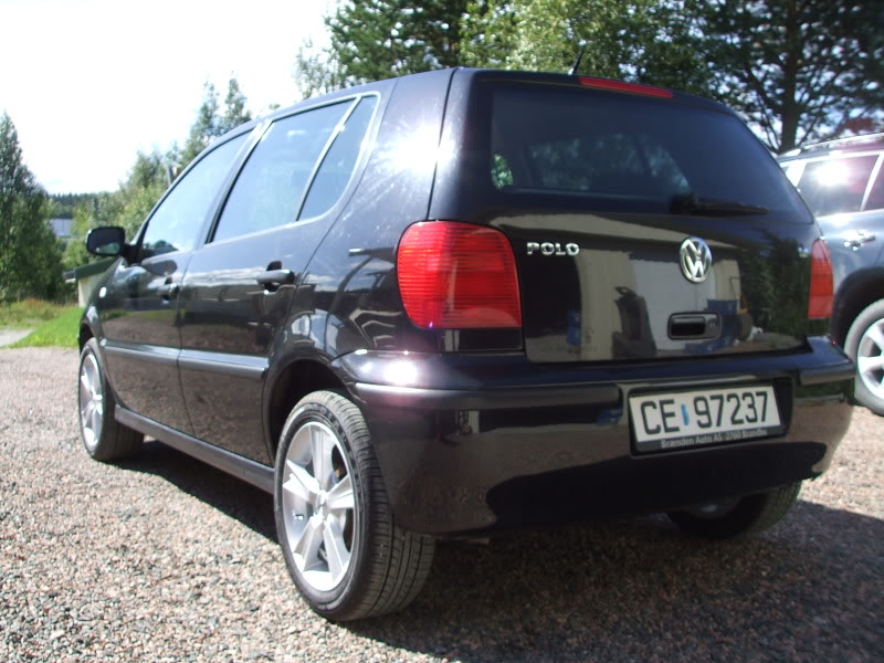 DetailingPolo071.jpg
