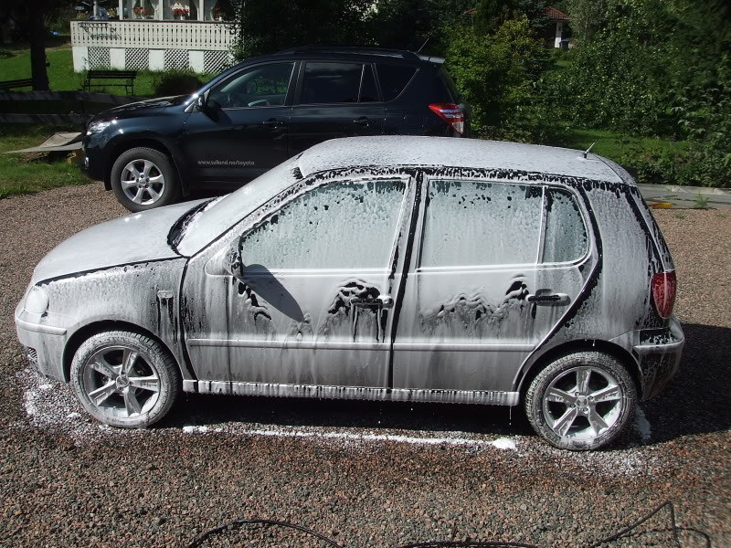 DetailingPolo074.jpg