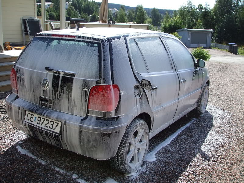 DetailingPolo075.jpg