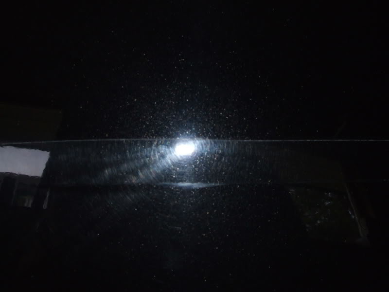 DetailingPolo097.jpg