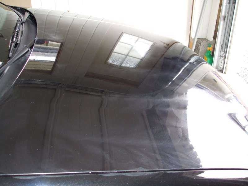 DetailingPolo103.jpg