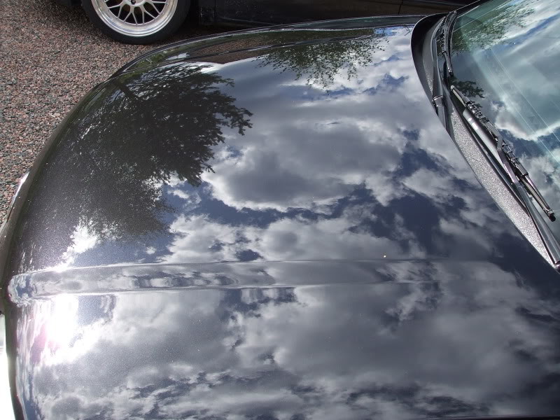 DetailingPolo110.jpg