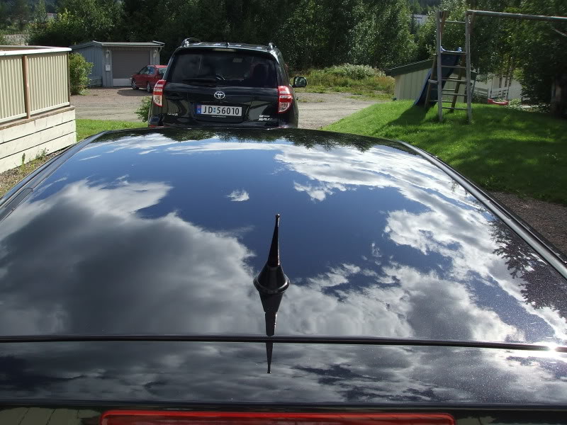 DetailingPolo111.jpg