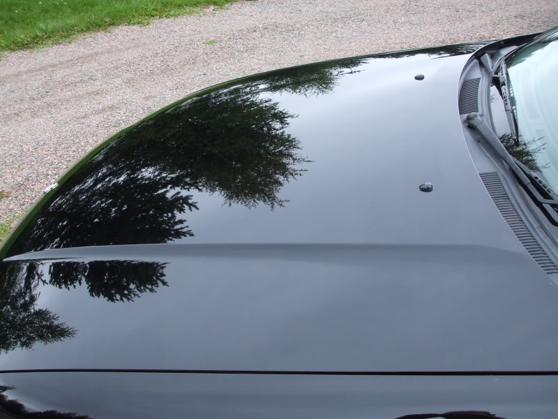 DetailingSkyline088.jpg