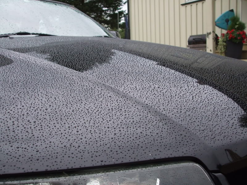 DetailingSkyline112.jpg