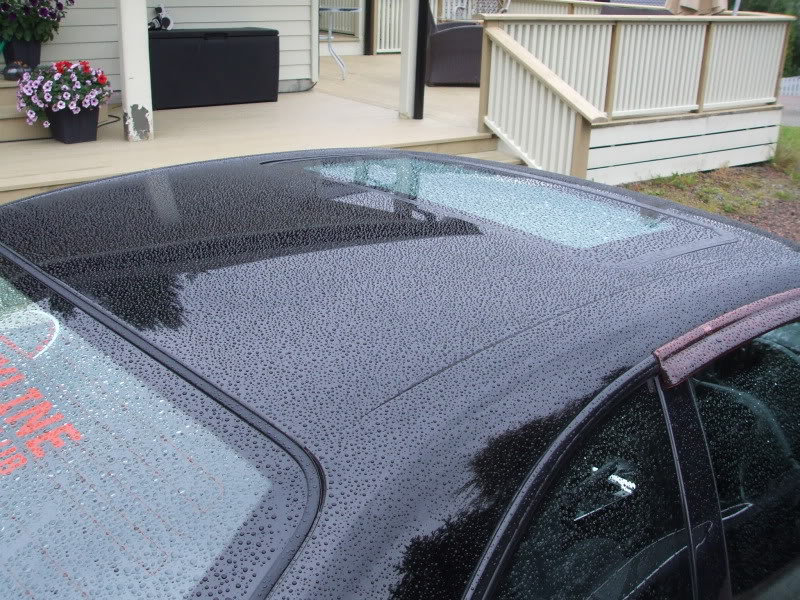 DetailingSkyline113.jpg