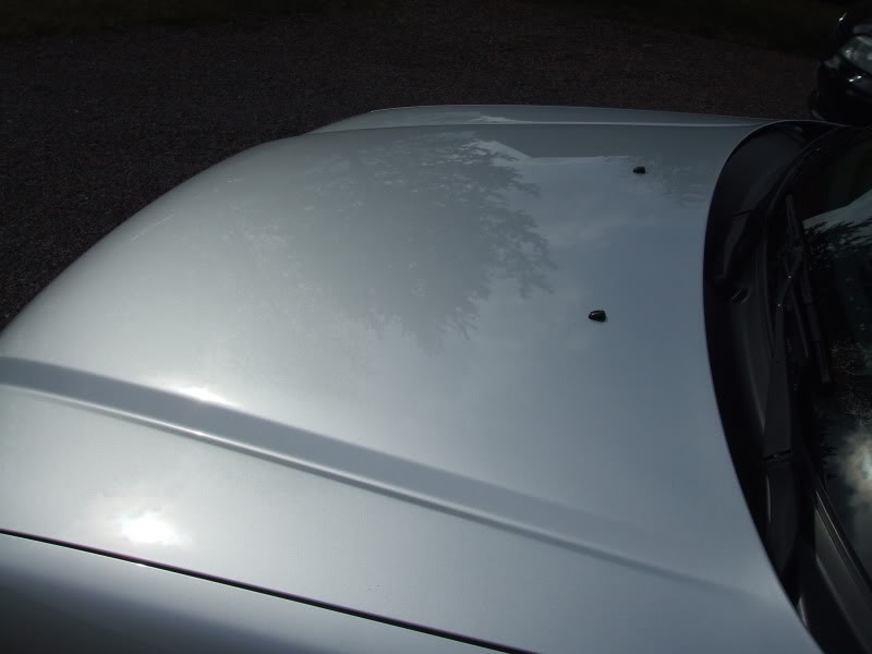 DetailingSubareForester009.jpg