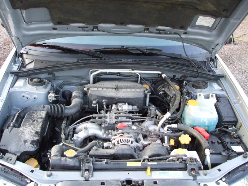 DetailingSubareForester026.jpg