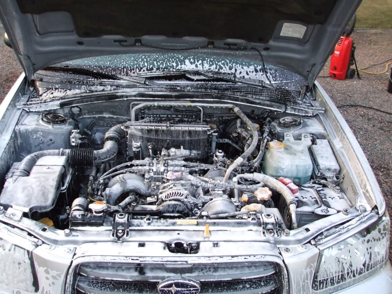 DetailingSubareForester028.jpg