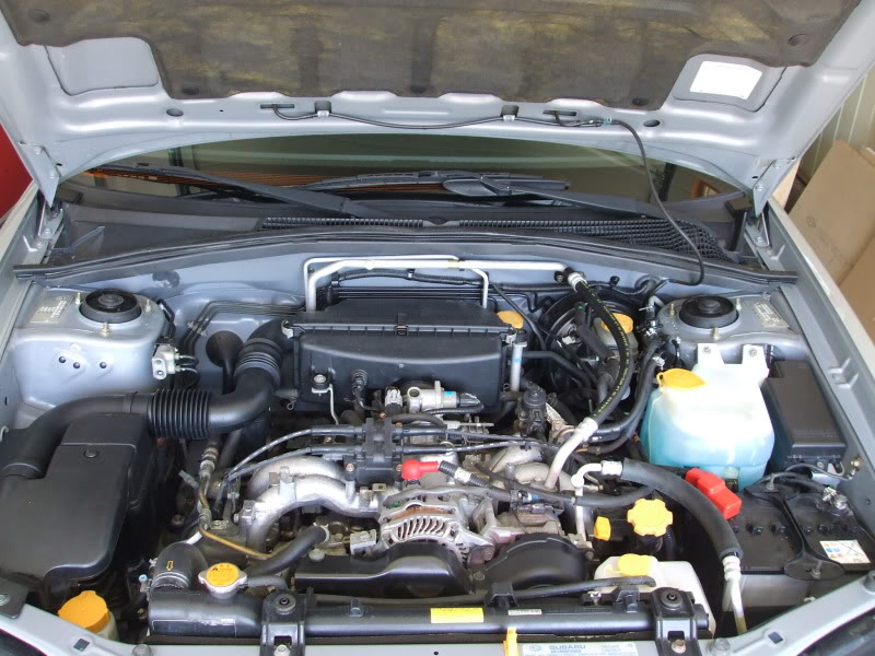 DetailingSubareForester029.jpg