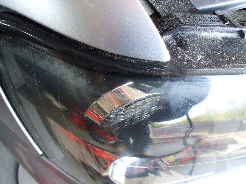 DetailingSubareForester052.jpg