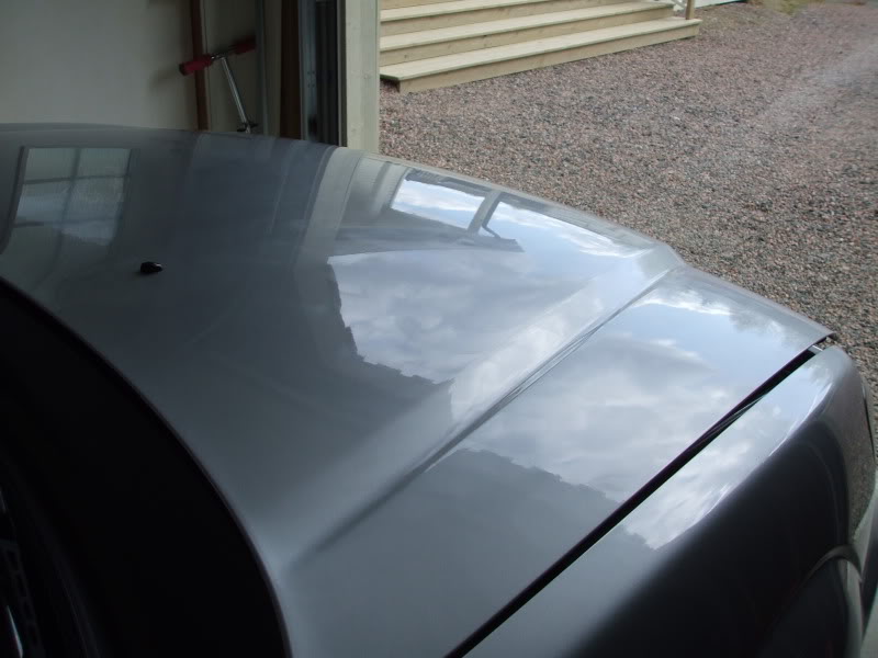 DetailingSubareForester056.jpg